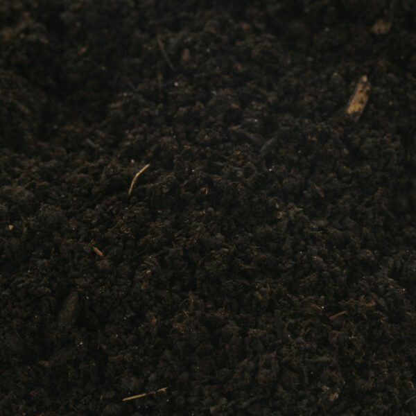 BioBizz Worm Humus 40L - Compost