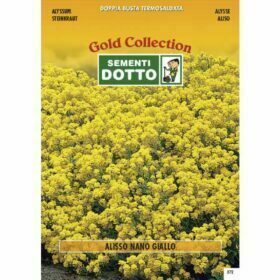 Alisso Giallo h cm 30 - Sementi Dotto