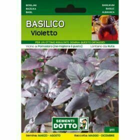 Basilico Violetto (da orto) - Sementi Dotto