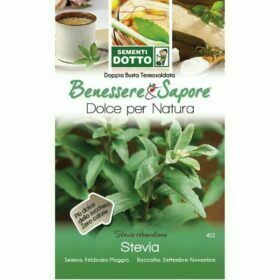 Benessere e Sapore - Semi di Stevia - Sementi Dotto