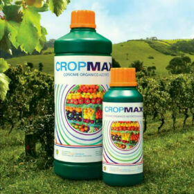 CropMax - Concime azotato liquido 250ml