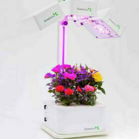 Ecoltivo - GreenDea Hydroponic Smart Garden 3 Lampade 4 Piante