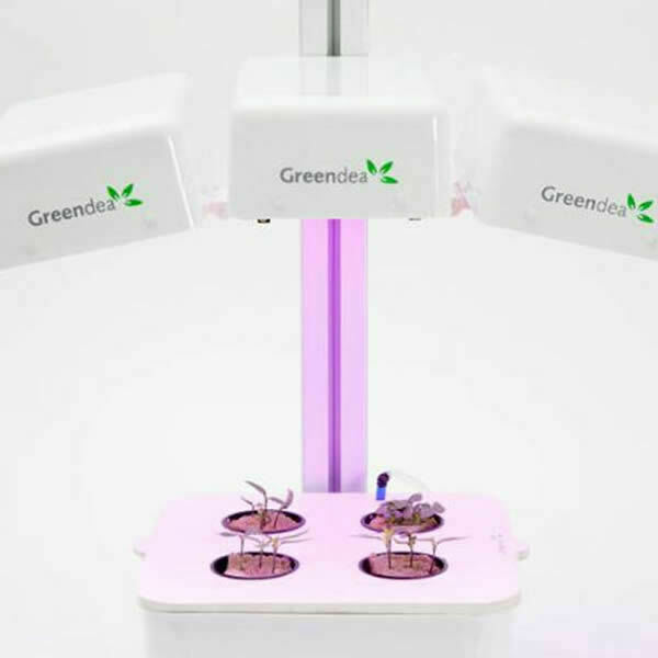 Ecoltivo - GreenDea Hydroponic Smart Garden 3 Lampade 4 Piante