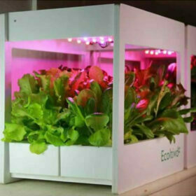 Ecoltivo - Smart Garden Orto in Casa