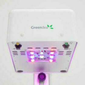 Ecoltivo - GreenDea Hydroponic Smart Garde, 1 Lampada, 3 Piante