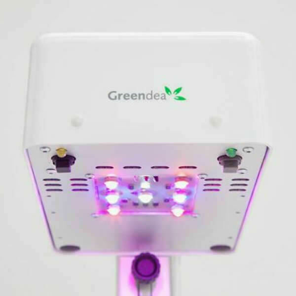 Ecoltivo - GreenDea Hydroponic Smart Garde, 1 Lampada, 3 Piante