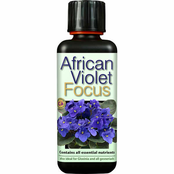 Growth Technology - African Violet Focus 300ml