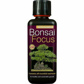 Growth Technology - Bonsai Focus 300ml