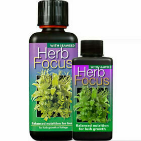 Growth Technology - Herb Focus