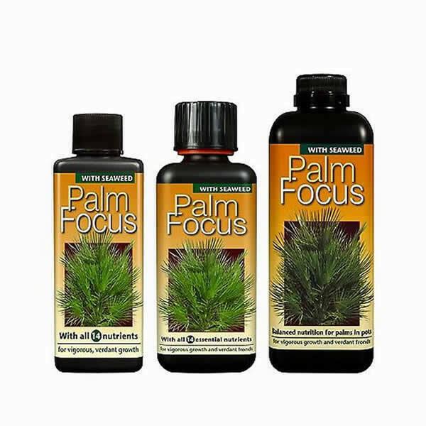 Growth Technology - Palm Focus