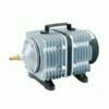 Hailea - Compressore Aria ACO 004 60L/min