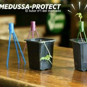 Medussa Protect - Tutor (sostegno per piante)