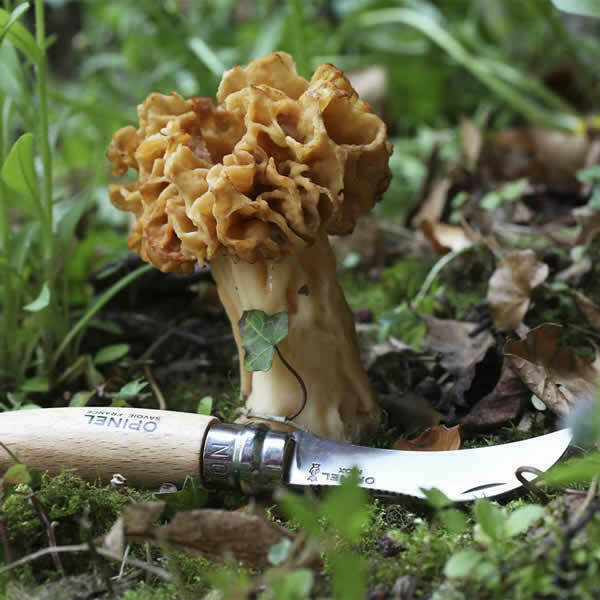 Opinel - Coltello N°8 Mushroom (da giardinaggio per funghi)