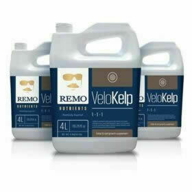 Remo Nutrients - VeloKelp