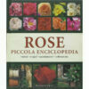 Rose, Piccola Enciclopedia. Varietà, Origini, Accostamenti, Coltivazione - Andrea Rausch - Ed Gribaudo