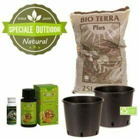 Speciale Outdoor: Kit Autofiorenti Bio con terriccio, vasi e nutrimenti (2 piante)