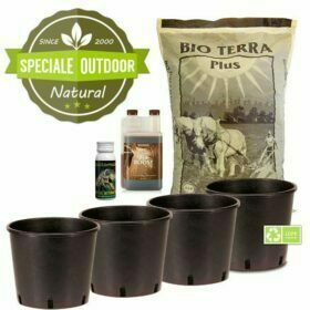 Speciale Outdoor: Kit Autofiorenti Bio con terriccio, vasi e nutrimenti (4 piante)