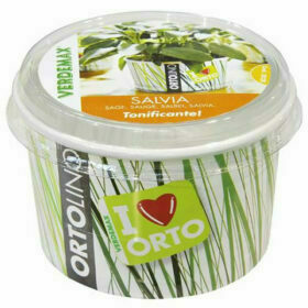 Verdemax - Kit Coltivazione Ortolino Salvia