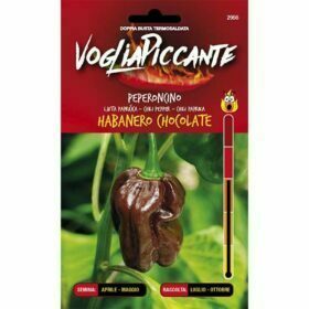 VogliaPiccante - Habanero Chocolate - Sementi Dotto
