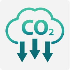 CO2 Anidride Carbonica Coltivazione Indoor