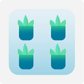 Coltivare Verde Verticale Vasi, Tasche, Pannelli Giardino Domestico Sostenibile