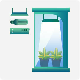 Kit Grow Box Complete per Coltivazione Indoor