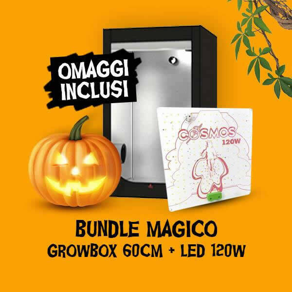 Bundle Magico - Box 60x60x160 + LED 120W + OMAGGIO
