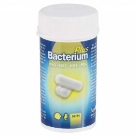 Aquili - Bacterium Plus 20 Capsule