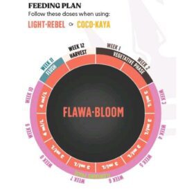 BioBizz - Flowa Bloom - Juju Royal - Feeding Plan