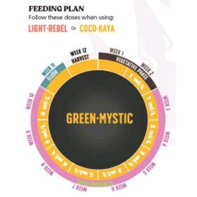 BioBizz - Green Mystic - Juju Royal - Feeding Plan